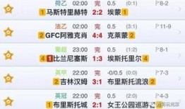 今日竞彩足彩推荐爆料,专业爆料，精准预测，助你一臂之力